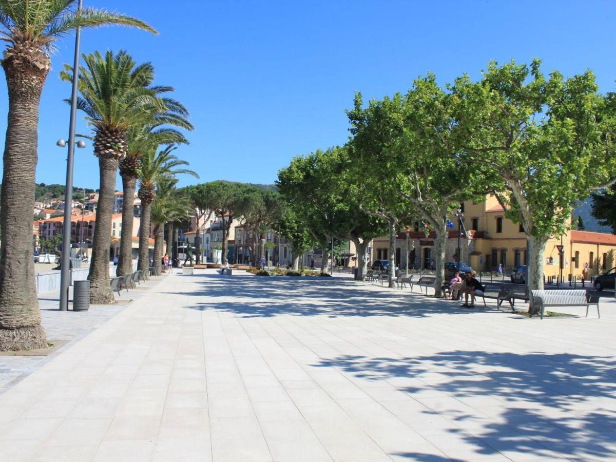 Appart Familial 6 Pers Banyuls-Sur-Mer Clim, Parking Prive, Proche Plages - Fr-1-225C-57 Dış mekan fotoğraf